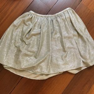 Silver shiny skirt